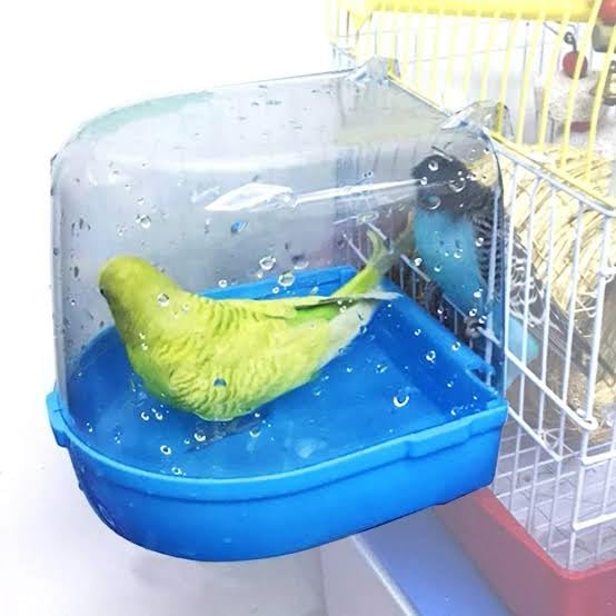 Plastic Birds Bath Tub for Birds Cage Small Birds Bathing Box (Color May Vary) by Pet & Vet.
