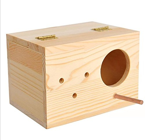 Sage Square Cockatiel Bird Breeding Box - Premium Habitat for Breeding & Comfortable Nesting, Exquisite Metal Edges Box - Moisture-Proof, Durable Nest for Lovebirds, Budgies & Small Birds (6 inch)