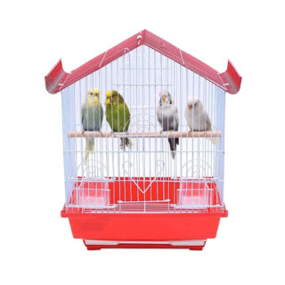 BirdBolt Bird Cage for Parakeet, Lovebird/Pet, Parrot, Budgie, Cockatiel Cage Hammock 11 Inch (Color May Vary)