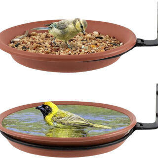 BIRDSHALA Pack of 2 Bird Feeder for Water & Seed Bird Bath Trey for Balcony, Trees, Garden & Wall mounting, Attracting Wild Birds