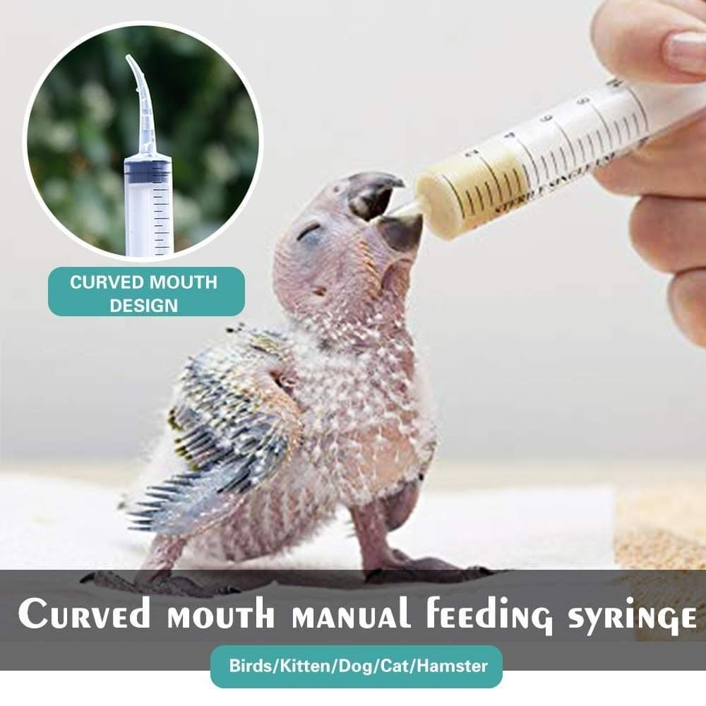 Pets Wizard - Hand Feeding Syringe with Curve Tip for Birds , Hamsters, Puppys & Kittens ( Pack of 2 ) Transparent (12 ML Curve Tip Syringe) PACK OF 2 SYRINGE - Image 2