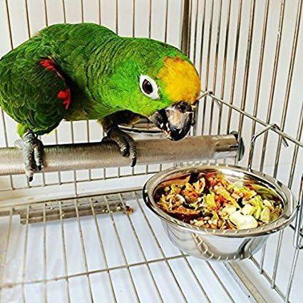 RvPaws Pet Bowl Stainless Steel Hanging Food Water Bowls Bird Cage Feeder For Birds,Parrots (250 Ml) - Pack Of 2,Medium - Image 2