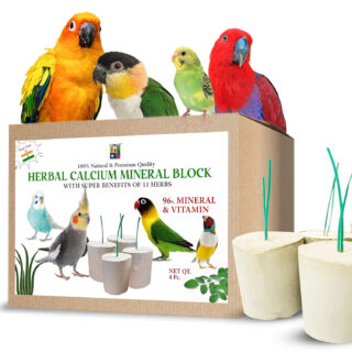 CONGO - NATURAL PARROT TREAT Herbal Mineral Calcium Block with Super Benefits for Finches, Budgies, Conures, Lovebirds, Cockatiels & Other Birds Pack of 04 (1 Box), All Life Stages