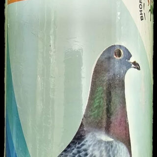 Bhopal Pigeons Betachol Pigeon Feed Supplement,Supports Digestion,Liver And Kidney Function,Rich In Amino Acids,1000Ml