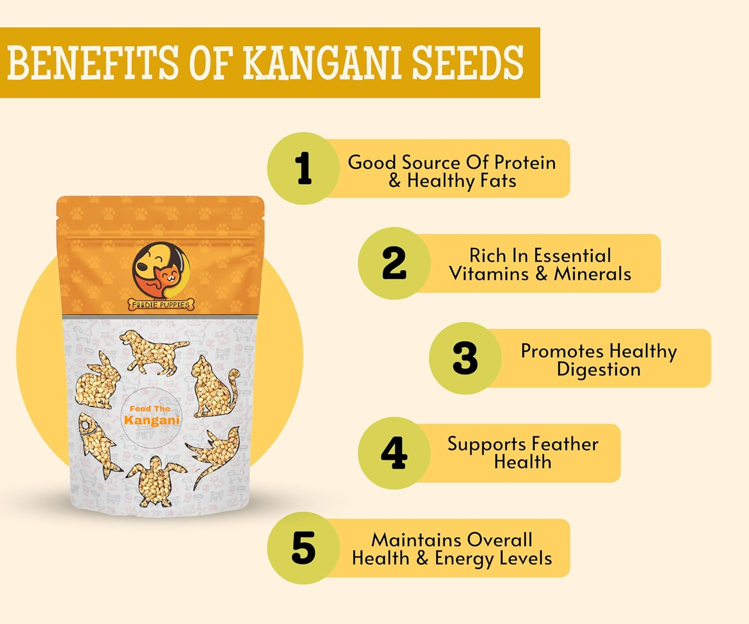 Foodie Puppies Foxtail Millet Kangni Seeds Bird Food - (1Kg, Pouch), High-Fiber Balanced Nutritious Daily Diet for All Bird Types - Image 2