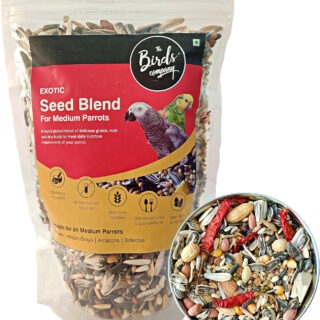The Birds Company All Life Stages Exotic Seed Blend of 20 Grains & Exotic Nuts, Fortified with Spirulina & Cuttlefish Bone, Bird Food for Medium Parrots, African Grey, Conures, Eclectus, 450 g