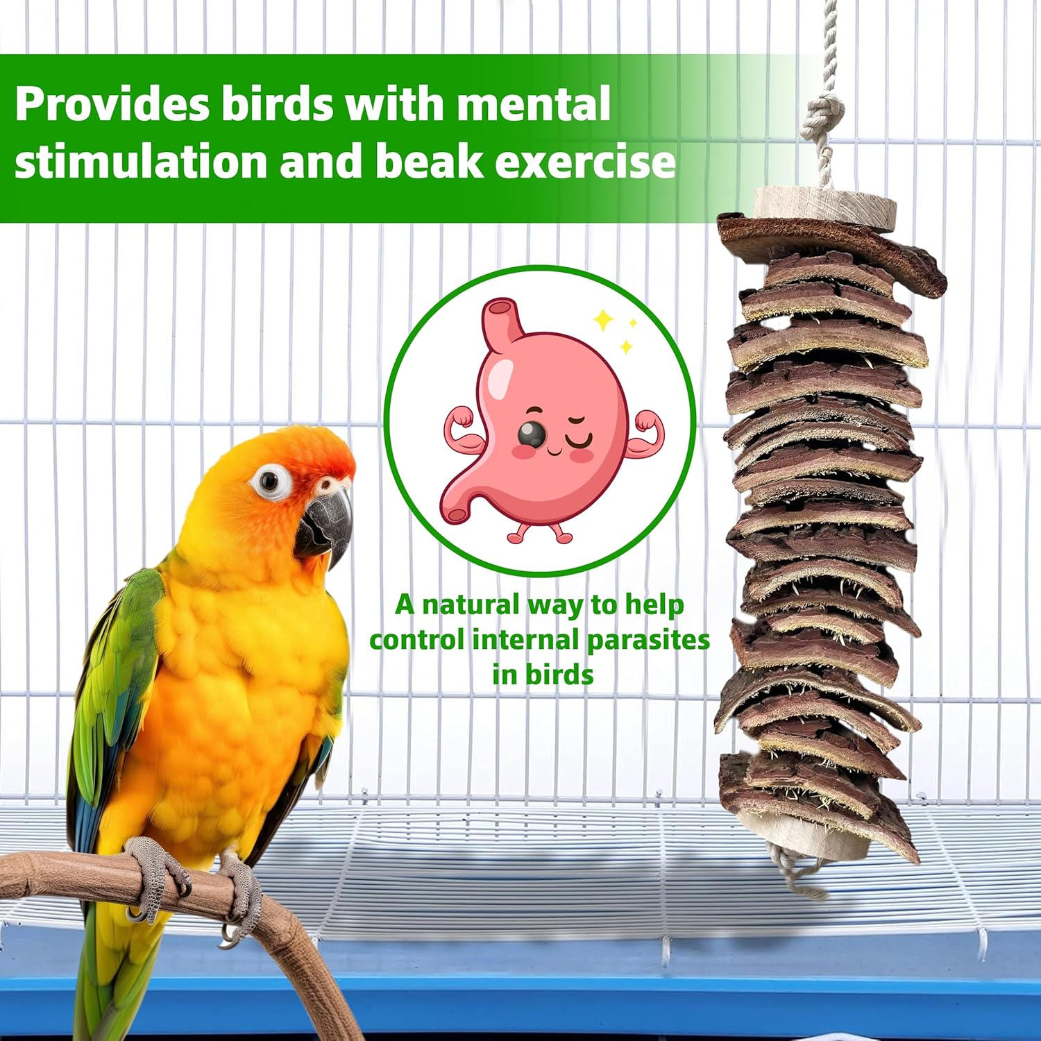 CONGO - NATURAL PARROT TREAT Wooden Deworming Assorted Wooden Chew Toys For Conure, African Grey, HobbyEnclave Parrot, Macaw, Cockatoos And Other Birds - Image 2