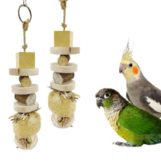 CONGO - NATURAL PARROT TREAT 12 Inch Set Of 2 Pcs Natural Luffa Chewing Toy For Budgies,Lovebirds,Cockatiels,Conure,Senegal And Other Birds