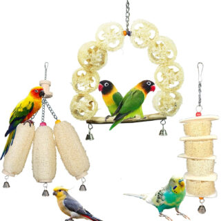 Addy Cuttlebone Bird Toys Combo - Set of 3 | 20038 | Cuttle Fish Bones | Food | Treats for Lovebirds Parrots, Budgies, Finches, Parakeets, and Other Birds.| Four Piece Free cuttlebone.