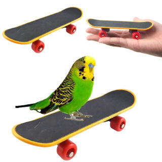 Petzlifeworld Bird Toys Parrot Toys Funny Intelligence Skate Board Toy Stand Perch Toy for Parakeet Cockatiels Bird Training Accessories