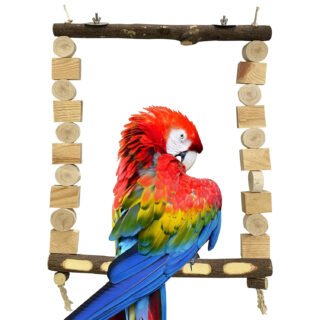 Congo® Wooden Decorative Swing Toy for African Grey, Macaw, Cockatoos, HobbyEnclave and Other Big Birds | 18X24 Inch | Piece of 1