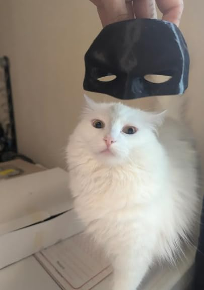 CERO 3D Printed Attractive Bat-Cat mask will make your cat look even better (Black PLA) - Image 2