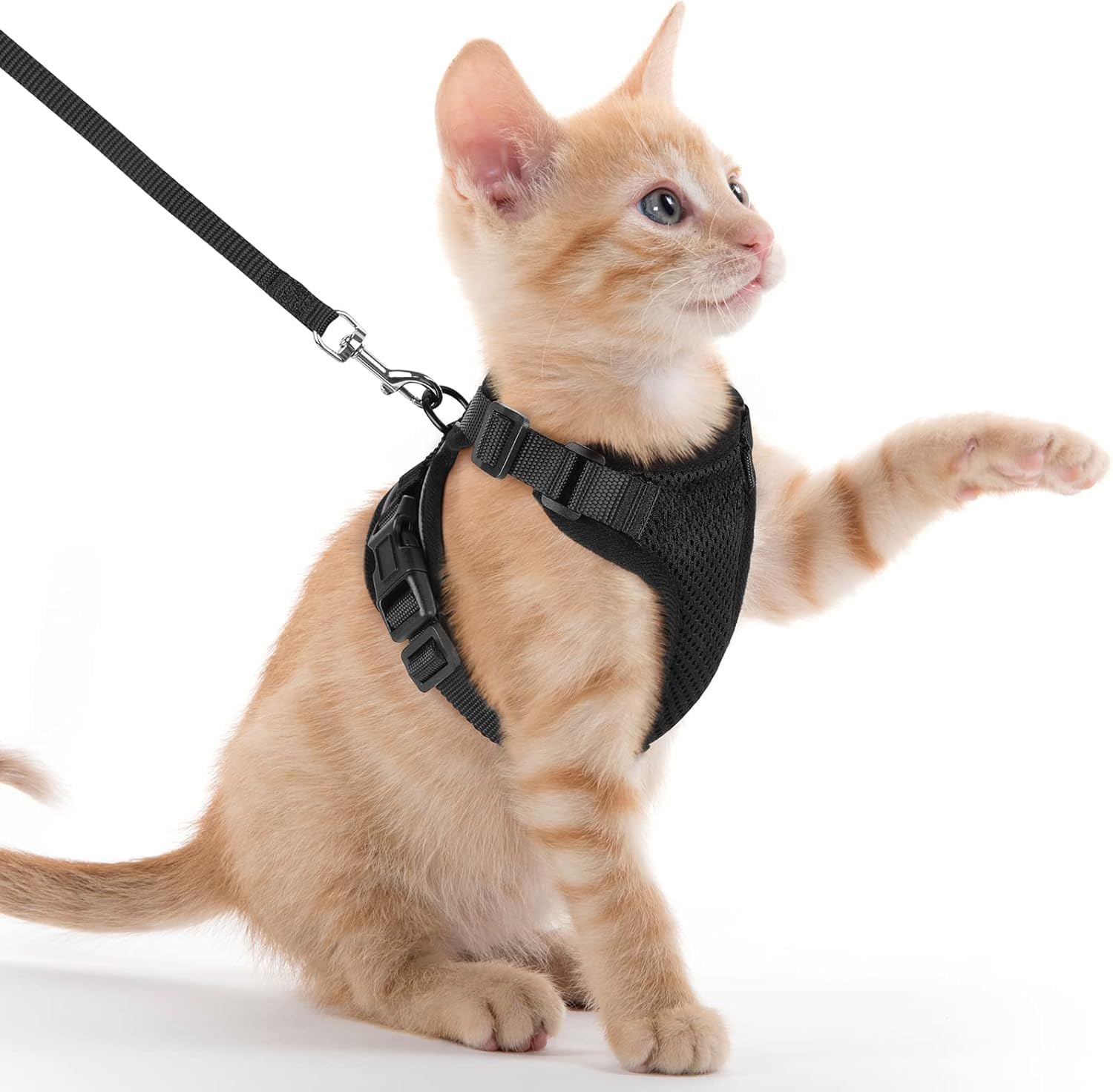 Berlin's Cat Harness and Leash Set – Escape Proof, No Pull, Lightweight Breathable Air Mesh, Adjustable & Comfortable Cat Vest Harness for Small Cats, Kittens & Outdoor Walks (Black, Small)