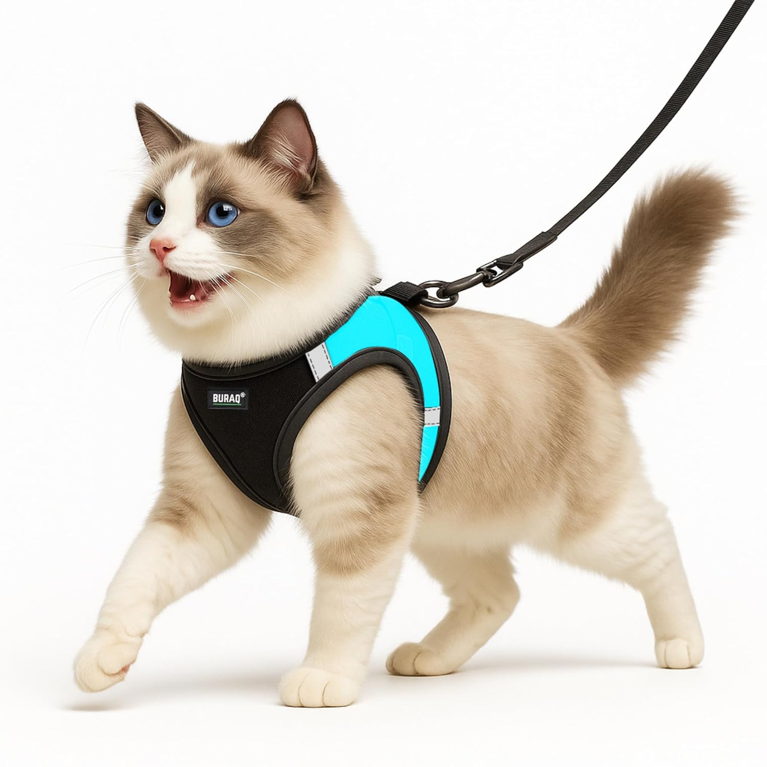 Buraq Cat Harness with Leash for Outdoor, Walking, Escape Proof, Air Mesh Fabric, Easy Control, Adjustable & Durable Cat Leash with Harness for Cats (Black - Cyan Green, S)