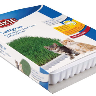 Trixie Cat Grass Seeds with Plastic Planter for Kittens and All Cats, Soft, Vitamin-Rich, Easy Grow, Nutritious & Natural, Supports Health & Digestion, 100 g