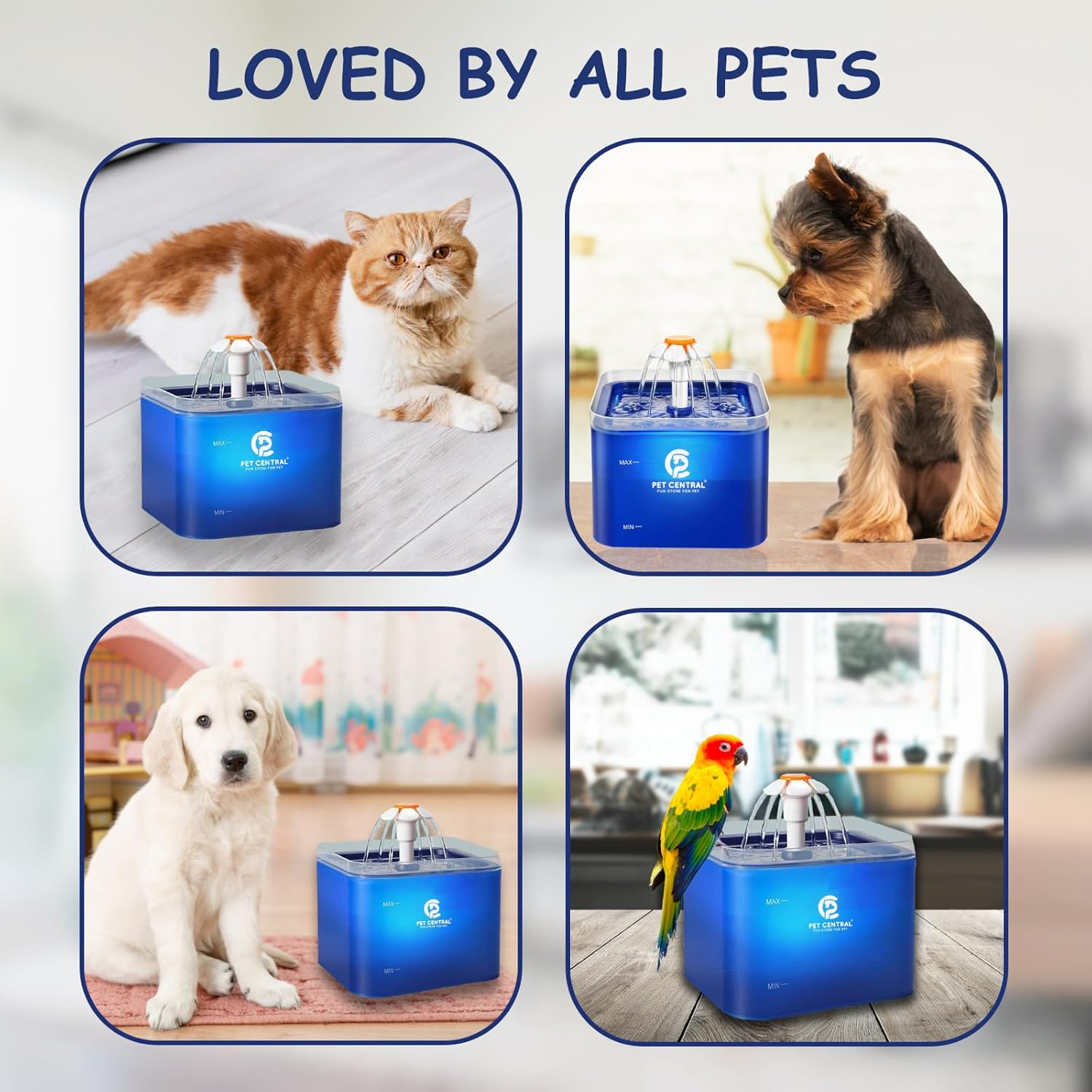 Pet Central Premium Cat Drinking Fountain - Indoor/Outdoor Automatic Pet Water Fountain with Filter - 67oz Capacity for Cats & Dogs - Image 2