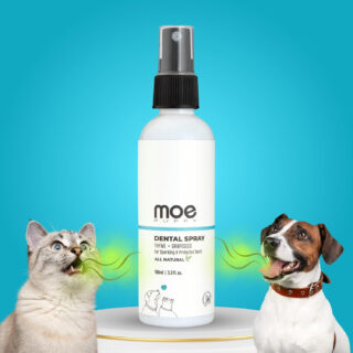 Moe Puppy Vet Recommended Dental Spray for Dogs & Cats | Bad Breath Control, Plaque & Tartar Removal & Gum Health | Peppermint Freshness | Long-Lasting Oral Care, Safe Daily Use (100 ml)