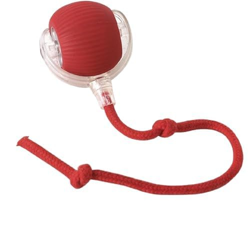 PIHARVA Interactive Electric Automatic Rolling Moving Rechargeable Self Play Stimulation Toy for Cats and Small Dogs - Smart Pet Chase Ball with Speedy Tail Rope for Indoor Enrichment (Red)