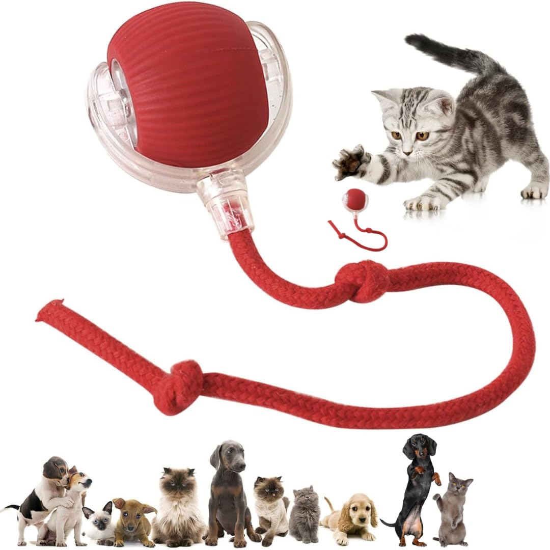 Naturaceutica's Interactive Electric Automatic Rolling Moving Rechargeable Self Play Stimulation Toy,Smart Pet Chase Ball With Speedy Tail Rope For Bored Indoor Cats Enrichment(Red)
