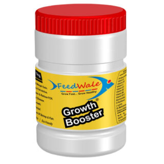 FeedWale Growth Booster 1Kg for Faster Growth of All Types of Fishes Supplement for Fish