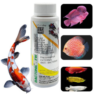 BACTONIL –FW Freshwater Anti-Bacterial Solution for Aquarium Fish | for All Common Diseases of flowerhorn, arowana and Discus (BACTONIL –FW, 120ml), Pack of 1
