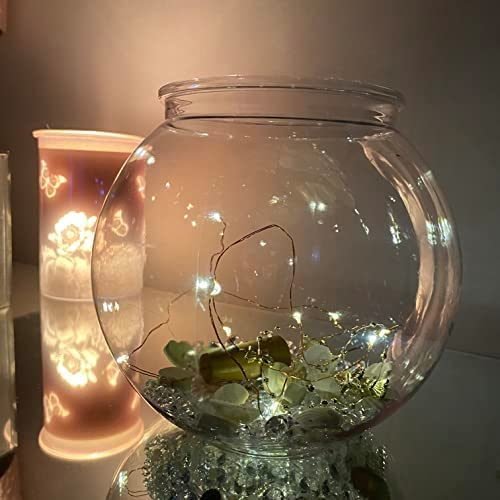 CoLoraquariumsupplies 1L to 14L Clear Glass Fish Bowl (1.6Litres) - Image 2