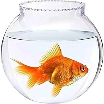 CoLoraquariumsupplies 1L to 14L Clear Glass Fish Bowl (1.6Litres) - Image 3