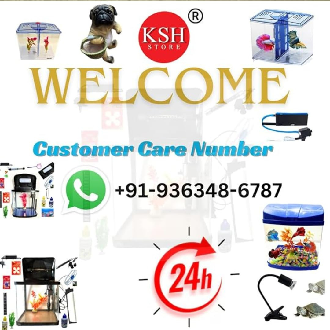 KSH STORE ® Betta Fish Tank Transparent Small Desktop Aquarium for Home and Living Room White, with USB 7 Colour LED Light Easy to Clean and Maintain | Mini Portable Fish Tank (1 Liter Capacity) - Image 2