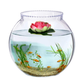 Urban Moon Crystal Clear Zig Zag Neck Bowl Aquarium, Round Collar Vase, Fish Pot for Home & Center Table Decoration - Set of 1 Piece (Size:- 6 Inch)