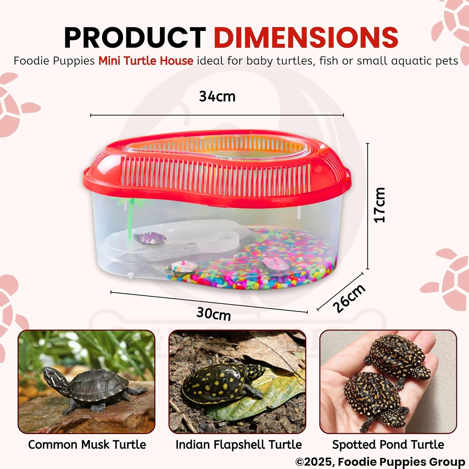 Foodie Puppies Transparent Turtle Tank Aquarium - (Mini - 0.9 FT/11 in Length) with Lid, Ramp | Basking Platform for Turtle Habitat, Reptile Breeding, Safe & Durable with Escape Prevention - Image 2