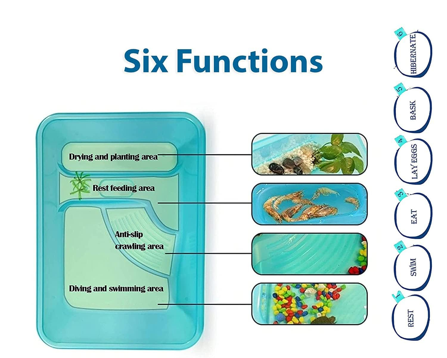 Rizopets Turtle Aquarium Tank with Lid, Multifunctional Reptile Breeding Box with Terrapin Lake, Hibernation, Swimming, Basking, Feeding, Platform for Tortoise, Crayfish & Crab (Large) - Image 2