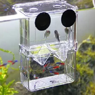 Sansefero Betta Tank (Breeding Box)