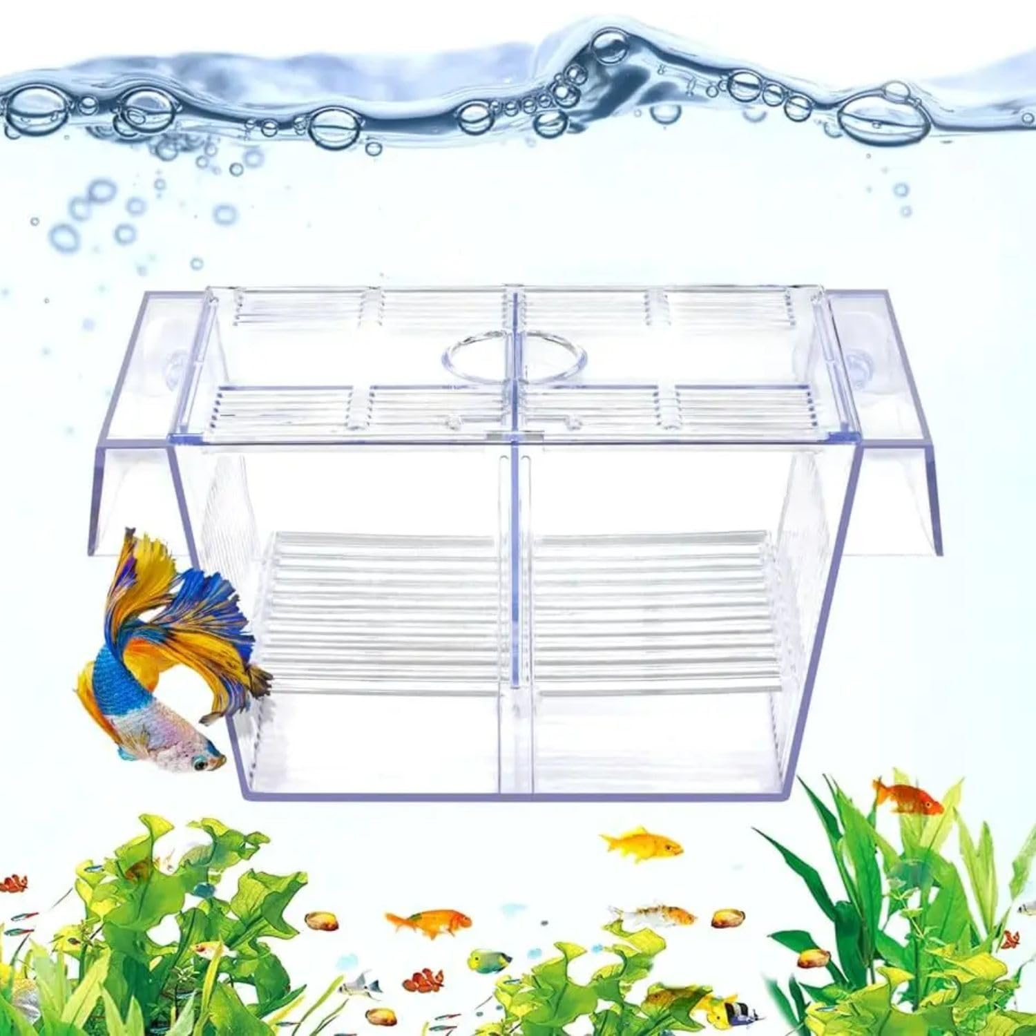 VAYINATO® Double Long Guppy Fish Breeding Tank Fish Hatchery Acrylic FH-101 by Petzlifeworld