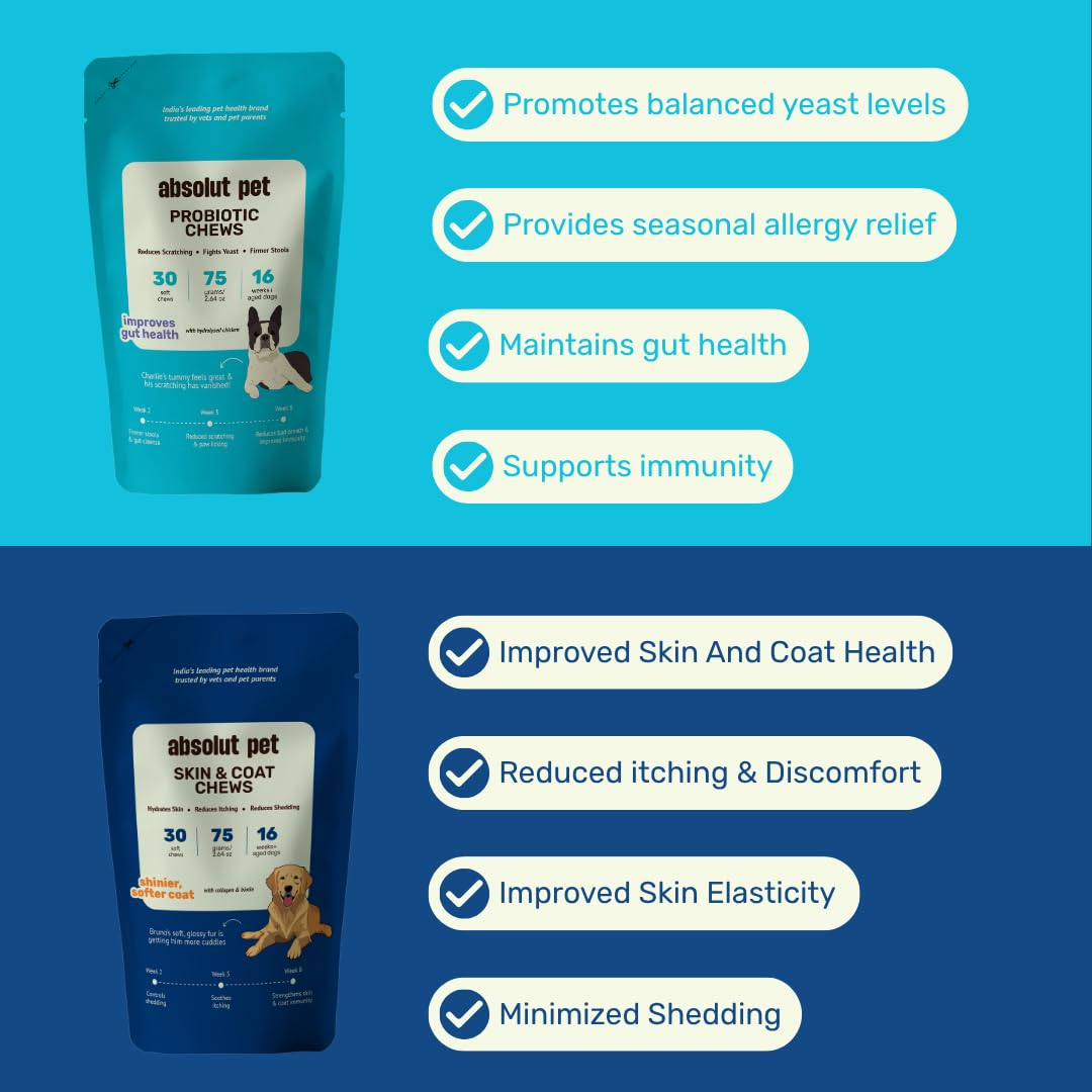 Absolut Pet Dog Supplement for Skin & Coat, Chews for Reduced Shedding, Healthy Skin & with Omega, Collagen & Biotin (Probiotic + Skin & Coat Chews) - Image 2