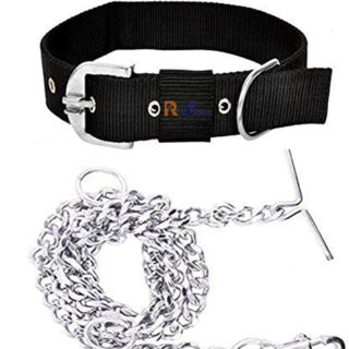 RvPaws Dog Belt Combo of 1 Inch Nylon Collar with Heavy Dog Chain 63 Inch Lengthy Dog Collar Chain (Black)