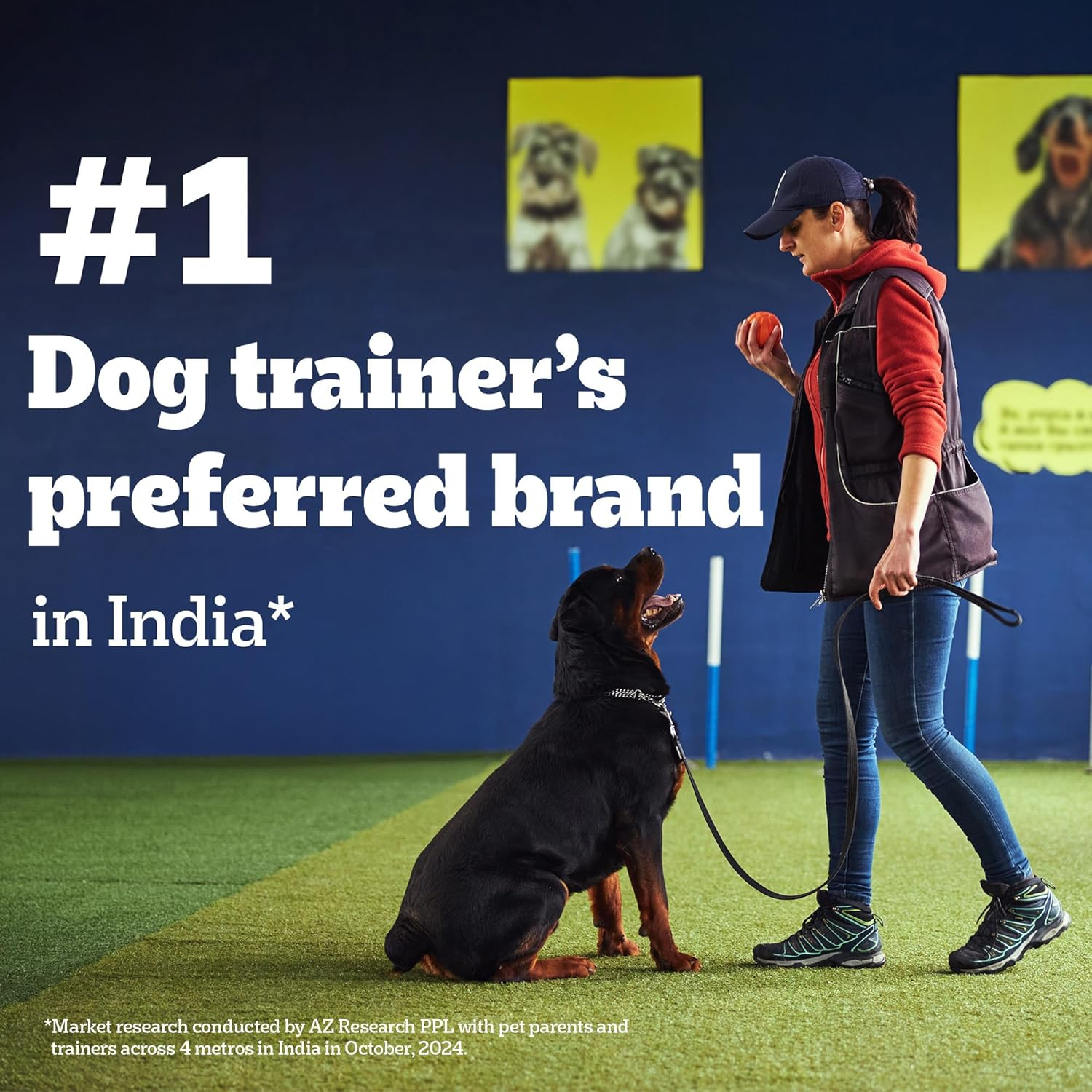 Pedigree Biscrok Biscuits (Above 4 Months) Dog Treats, Lamb Flavour, 900 g, Source of Calcium, Goodness of 15% Protein - Image 2