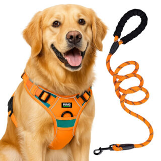 Buraq Reflective Dog Harness with Leash, No-Pull Adjustable Belt Vest for Small, Medium & Large Dogs, Escape-Proof, Padded Training & Walking Harness (L - Orange)