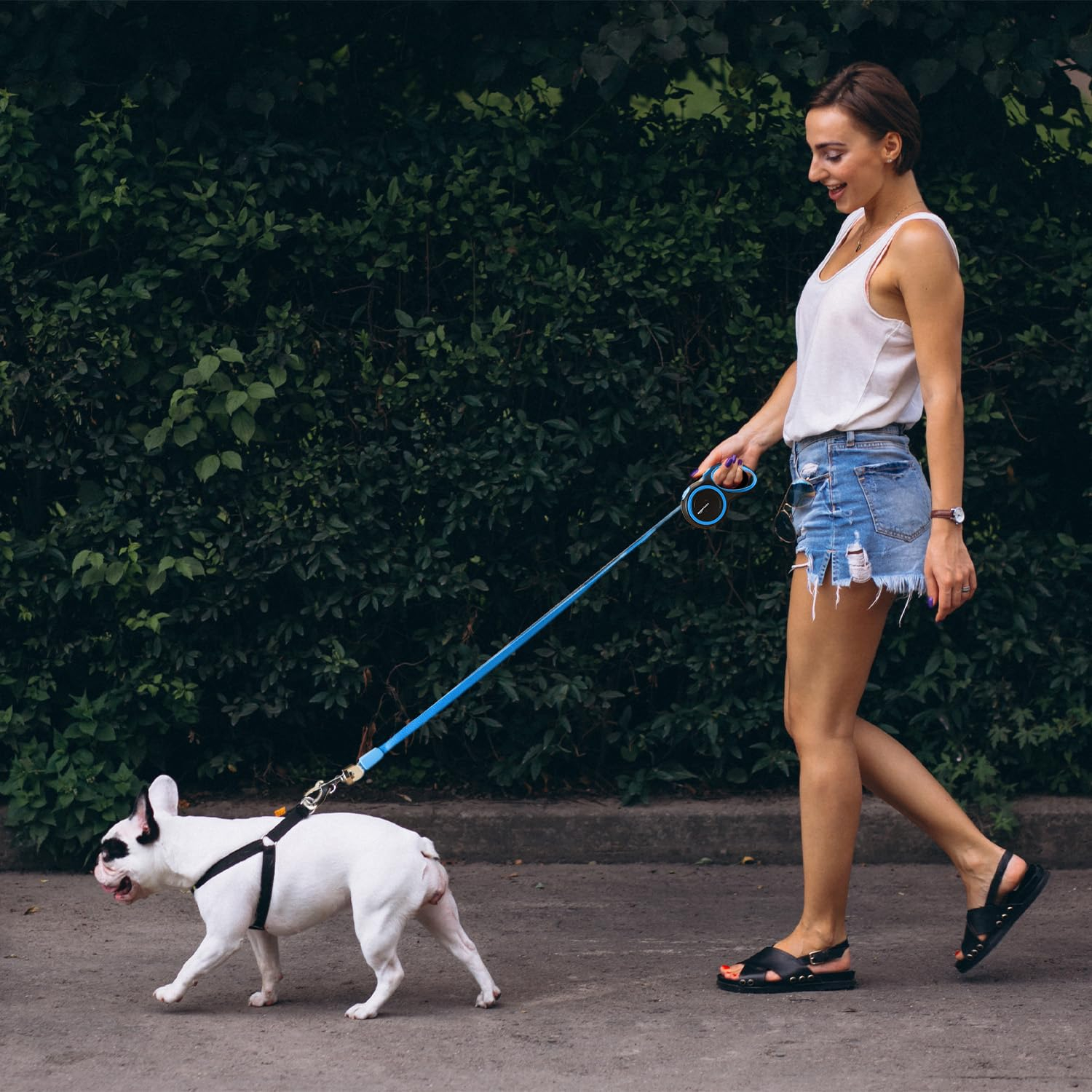 HobbyEnclave Basics Retractable Dog Leash | 5 Meter | for Large Dogs Up to 50 Kg | Heavy Duty Leash for Pets | Strong Nylon Tape, Anti-Slip Handle, Built in Spring, One-Click Brake Pause | Blue - Image 2