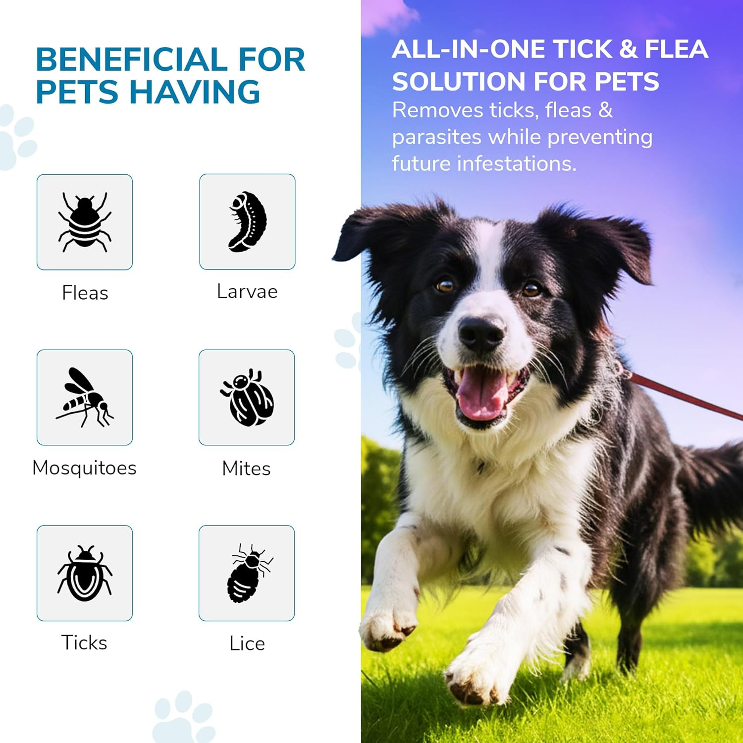 Bakson Veterinary | Tick Aid Drops | Tick Fever Medicine | Tick Infection | Safe Medicine for Pets | Ticks & Fleas in Pets | No Side Effects| Itching Tick Bite | 30ML - Image 2