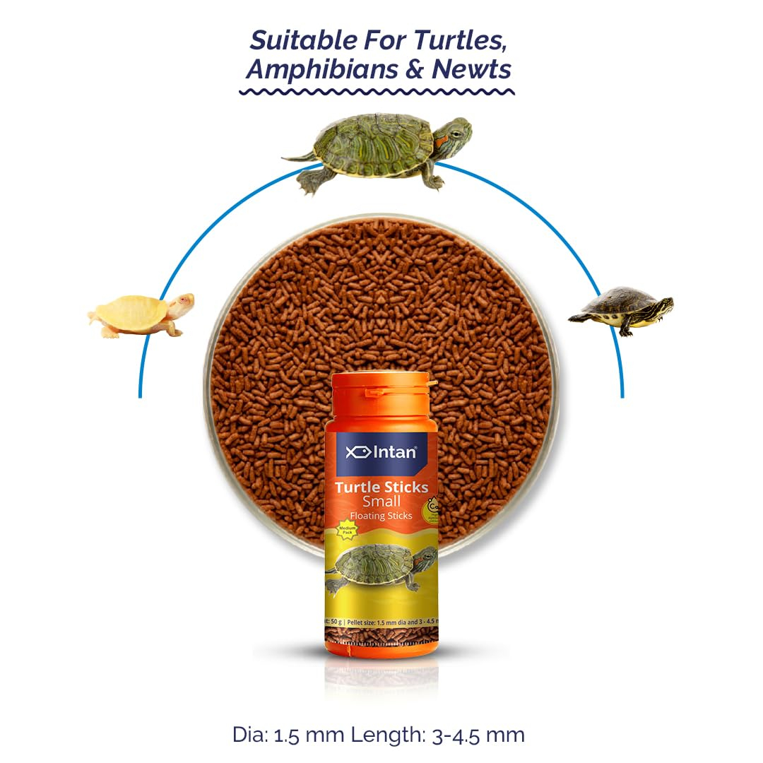 Intan Turtle Sticks (Small 1.5mm x 3-4.5mm Floating) | 50gm - Highly Nutritious Ornamental Fish Food for Turtles, Amphibians & Newts | Growel Feeds - Image 2