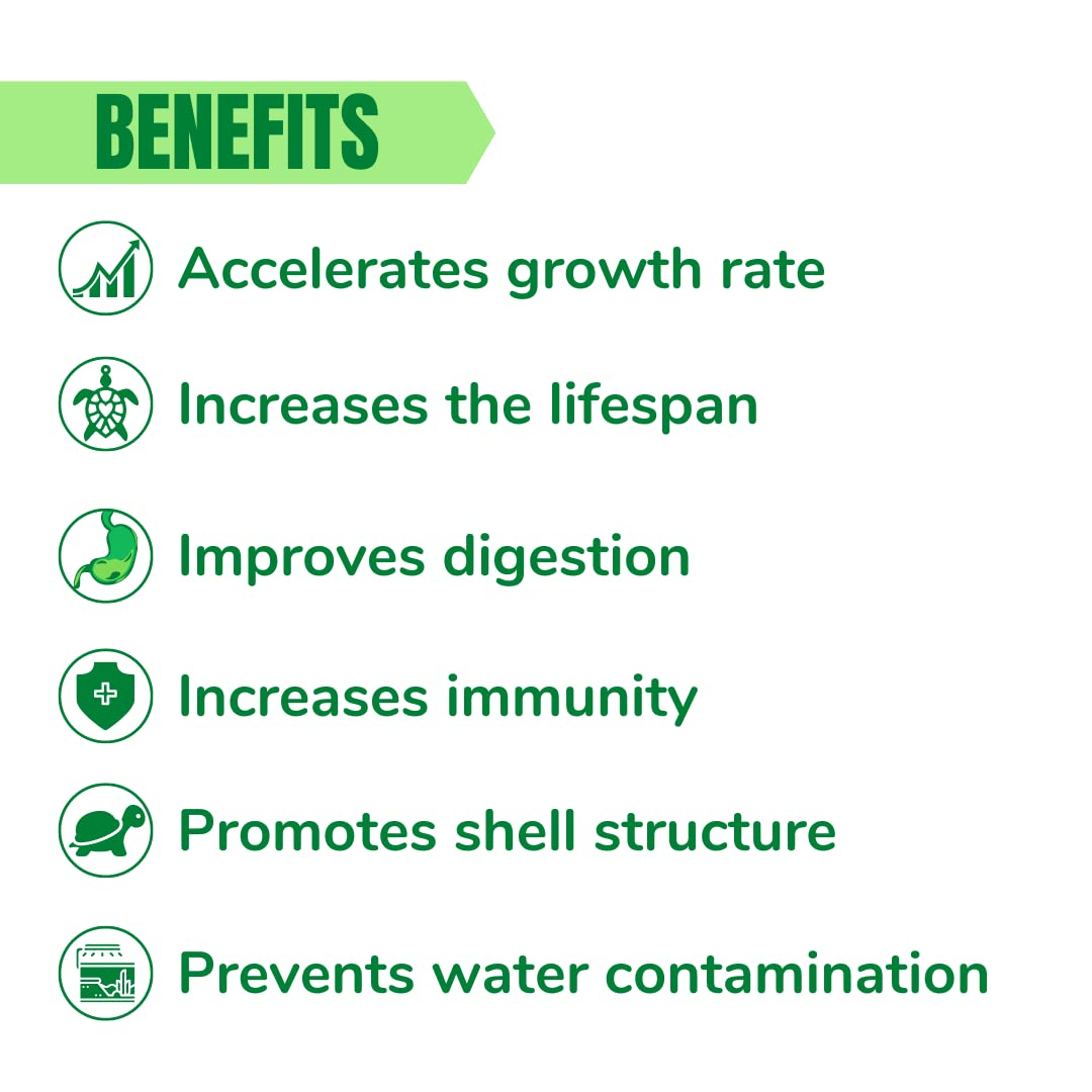 Taiyo Pluss Discovery Premium Turtle Food - 250 g (Pack of 1) Bucket Container | Daily Nutrition Sticks with Spirulina and Stabilised Vitamin C - Image 2