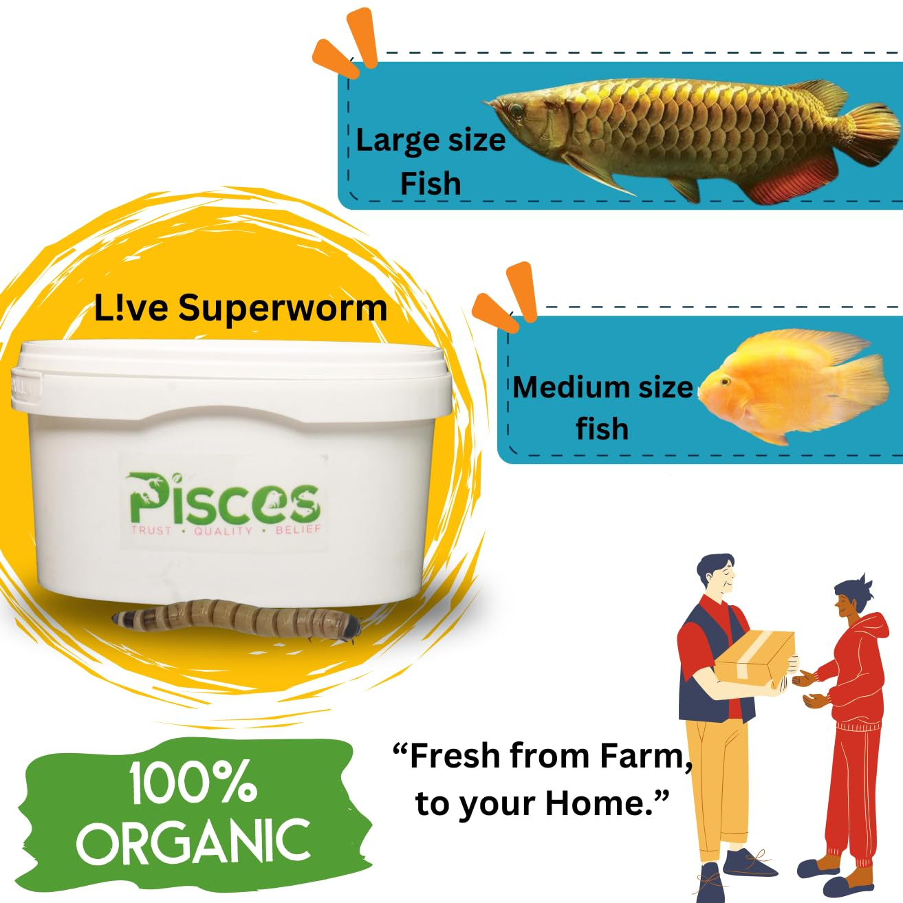 PISCES True Bugs Live SUPERWORMS Natural Food Supplement with High Protein for All Life Stages, Including Aquarium Fish | Arowana,Oscar Fish Food,Turtle,Reptile Food, Monkeys and Other Pets (300 Pcs) - Image 2