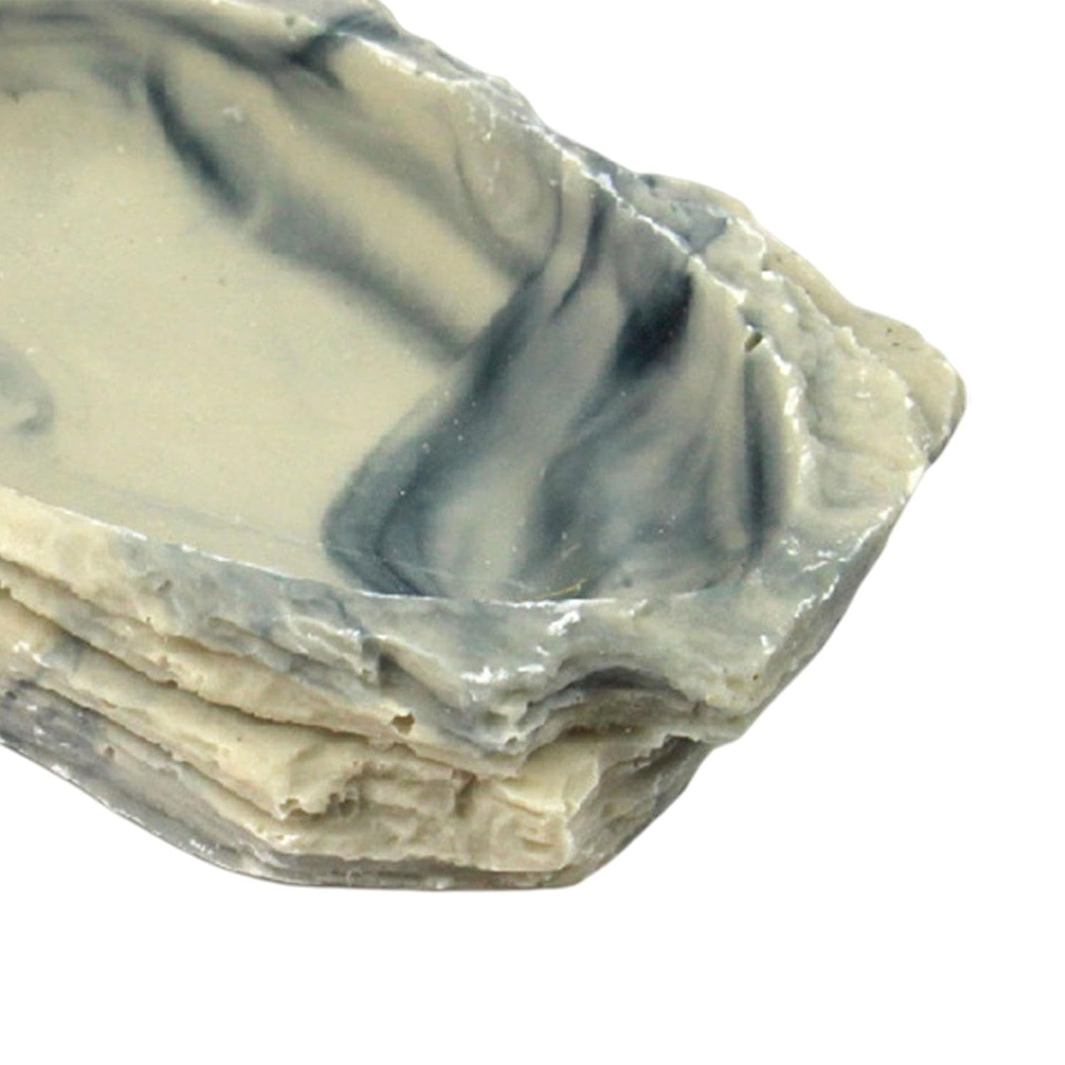 LOOM TREE Reptile Food Water Bowl Plate Feeding Tray for Terrapin Chameleon Lizard - Image 2