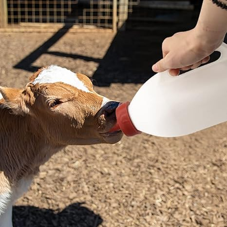 Bethlehem Goat & Calf Milk Feeding Bottle with Handle – Durable Plastic Bottle for Calves, Goats, Sheep, Lambs, Easy Grip, Leak-Proof, Farm Animal Feeder.,