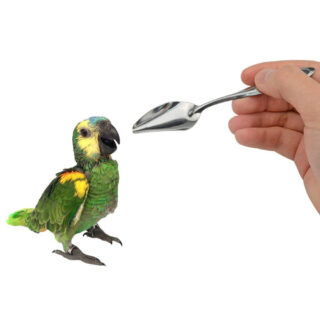 Sage Square Hand Feeding Spoon with Curve Tip for Birds/Puppy/Kitten/Cat/Hamster/Dog