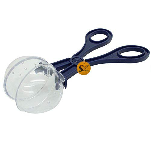 Sage Square Worm/Insect Food Feeder Tool for Reptile/Terrarium/Aquarium/Snake/Python/Lizard/Gecko/Iguana/Turtle/Scorpion/Frog/Fish (Blue) - Image 2