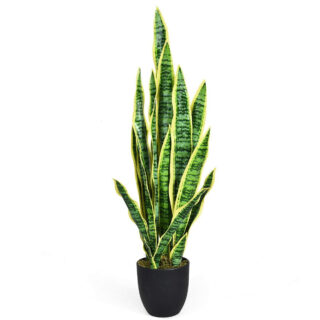 Gorgeous Glory Garden Live Yello Snake Plant | Good Luck Yellow Snake Plant | Yellow Snake Plant Indoor Live Plant| Snake Plant With Pot Indoor/Outdoor Air Purifier Live Plant