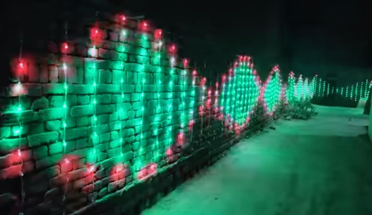 Brilights Toran Controller for Pixel LED Light Toran with More Than 200 Designs WS2811,1906 (Z Type, 10X20) - Image 3