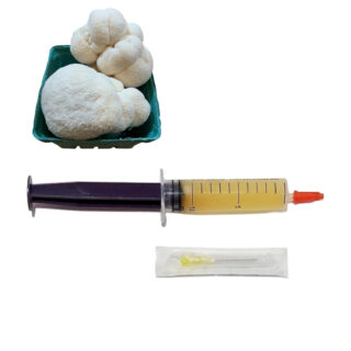 Lion’s Mane Mushroom Liquid Culture – Hericium erinaceus – 10 ml Sterile Syringe – Fast‑Colonizing M
