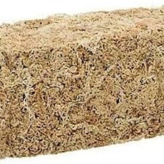 Zoo Med CF3-NZ New Zealand Sphagnum Moss, 150 g